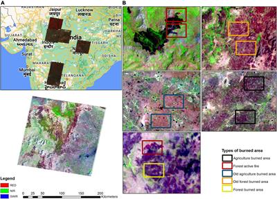Evaluating methods to map burned area at 30-meter resolution in forests and agricultural areas of Central India